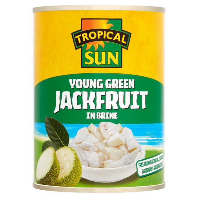 Tropical Sun Jackfruit in Brine 560g