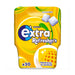 Extra Refreshers Tropical Flavour Sugarfree Chewing Gum Bottle 30 Pieces 67g