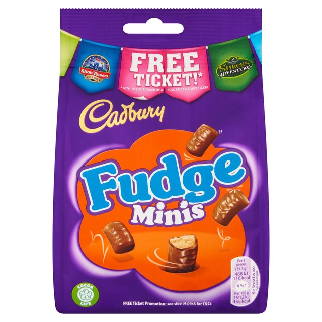 Cadbury Fudge Minis Chocolate Bag 120g