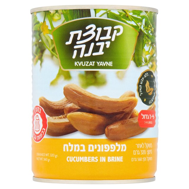 Kvuzat Yavne Cucumbers in Brine 7-9 560g