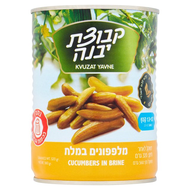 Kvuzat Yavne Cucumbers in Brine 13-17 560g